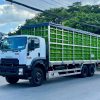 Chở Gia Cầm 15 Tấn