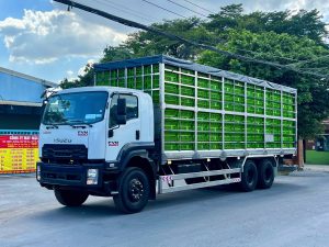 Chở Gia Cầm 15 Tấn